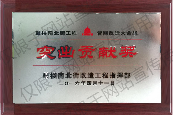 鼓樓南北街突出貢獻獎